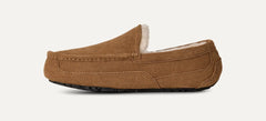 Men's Ascot - CHESTNUT