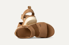 Kids' Goldenstar - CHESTNUT