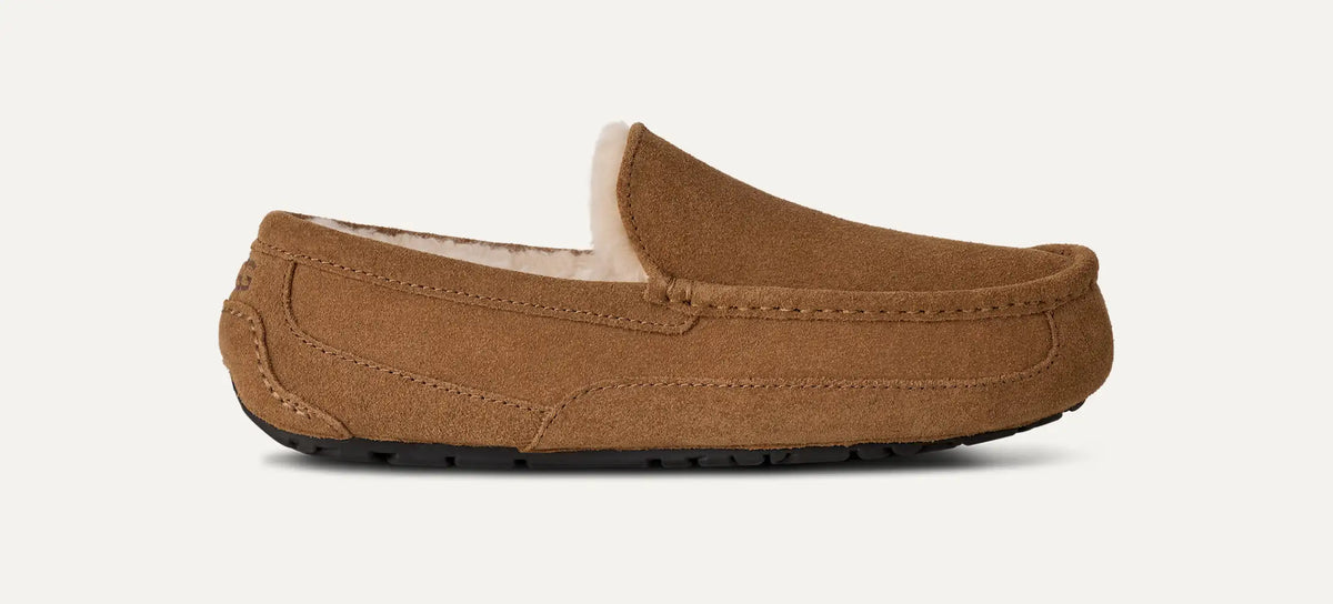 Men's Ascot - CHESTNUT