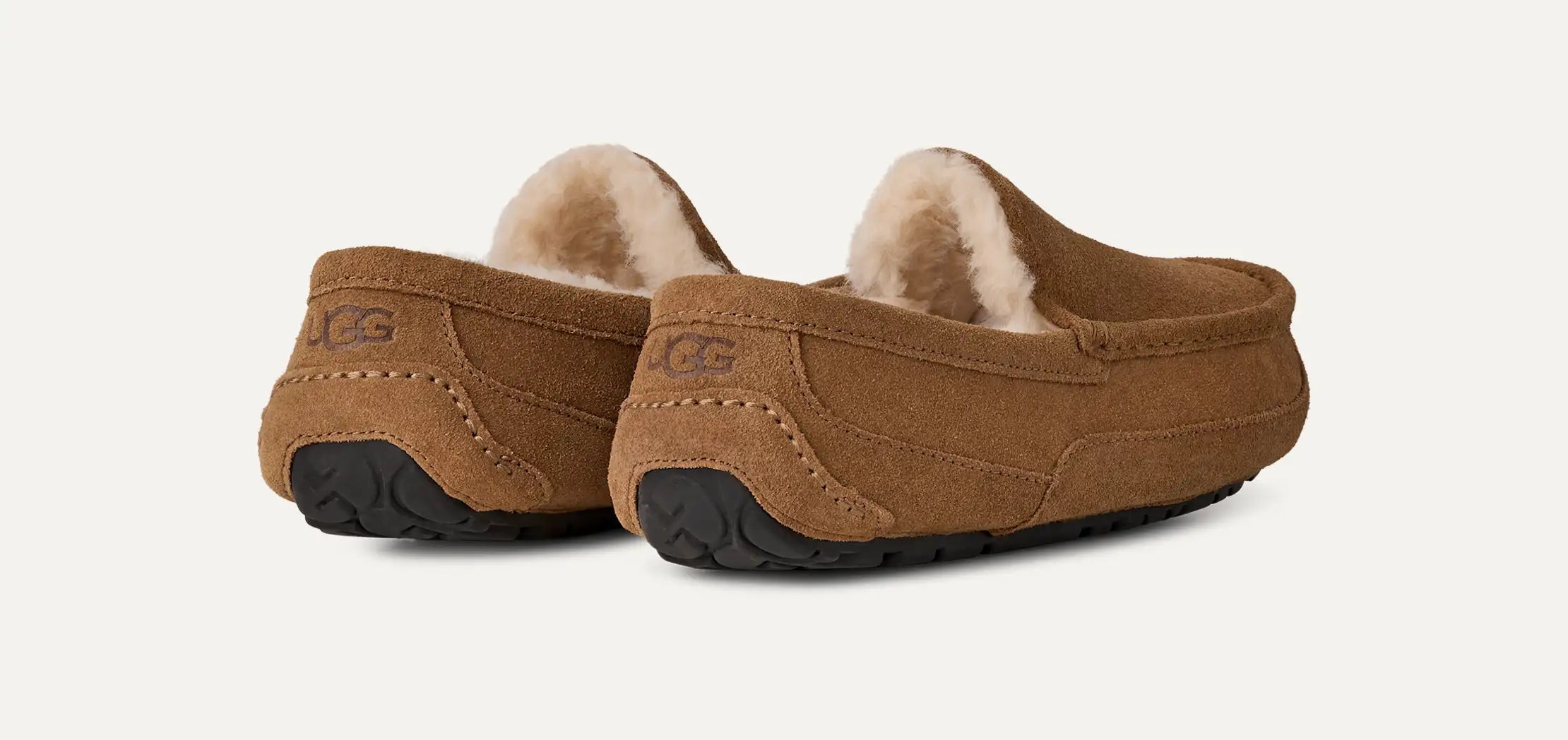 Men's Ascot - CHESTNUT