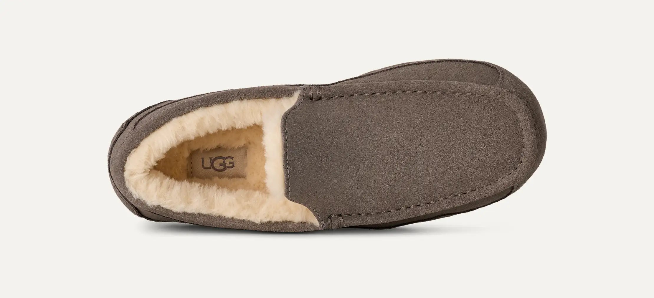 Men's Ascot - GREY