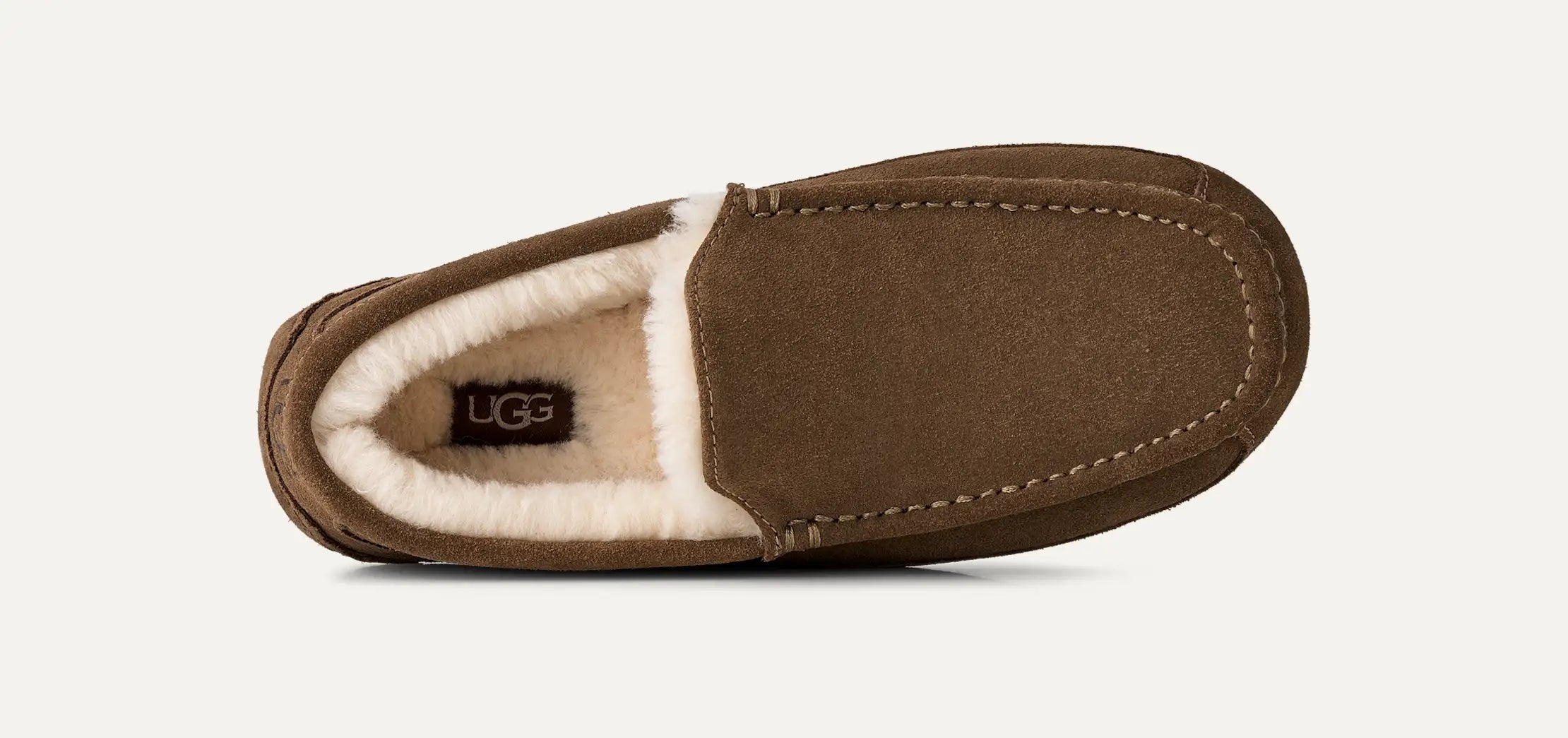 Men's Ascot - LIGHT BRONZE