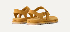 Women's GoldenGaze Toe Post - WHEAT FIELD