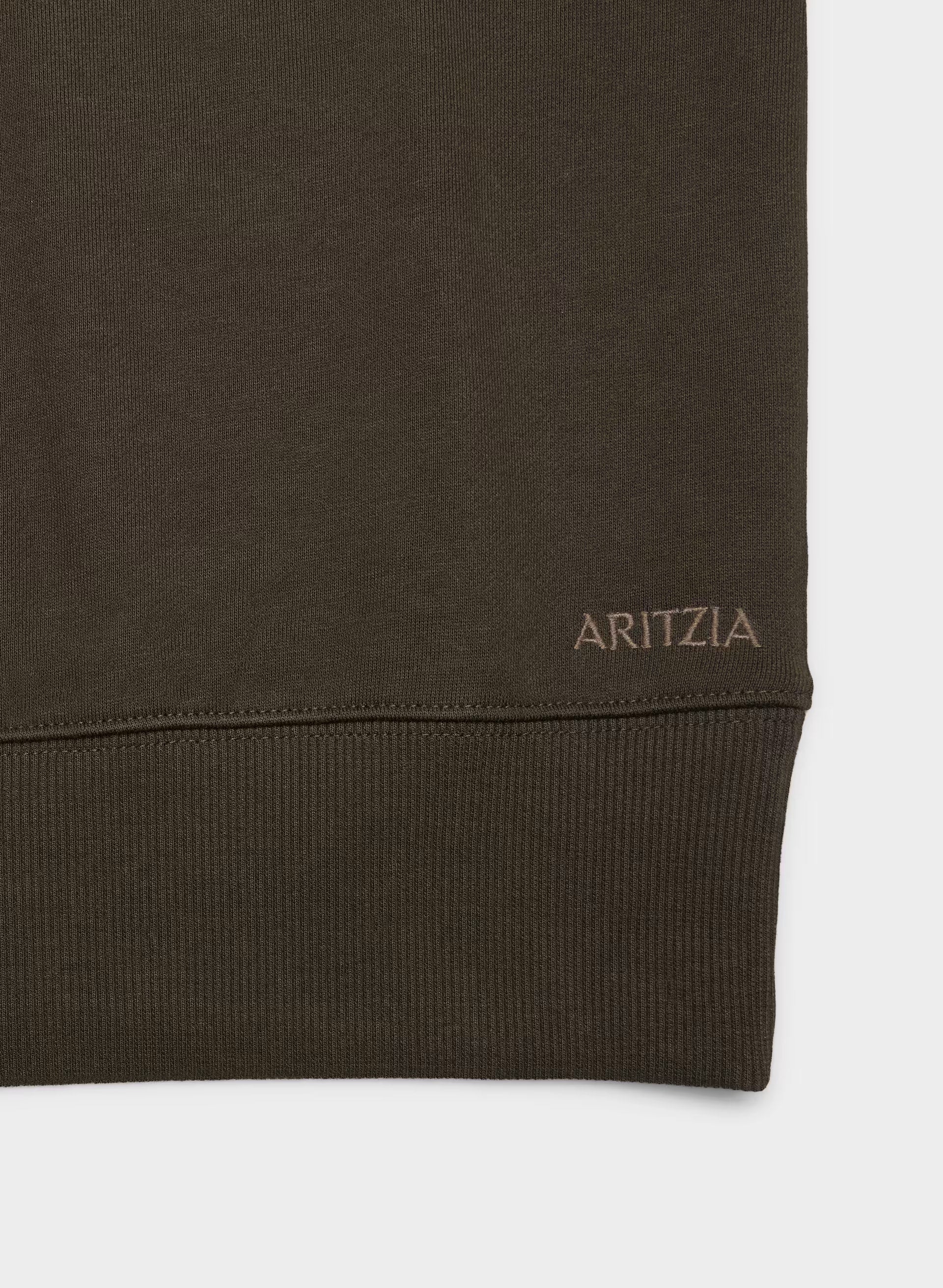 Terry Sweatfleece Perfect Raglan Sweatshirt - CACAO NIB BROWN